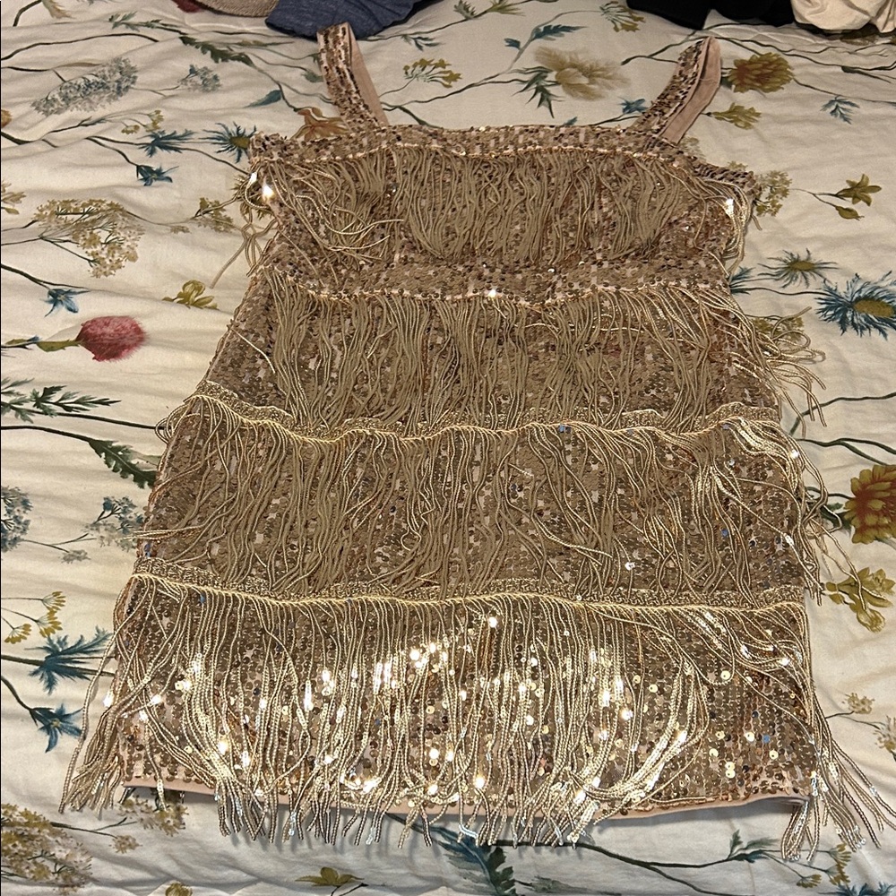 Sparkling Gold Fringe Dress